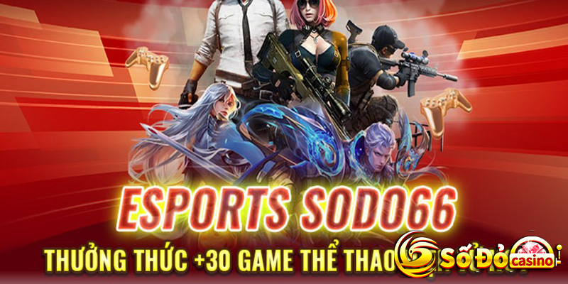 Thể thao Sodo66 - Sảnh Cược Thể Thao Tỉ Lệ Thắng Cao Nhất